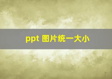 ppt 图片统一大小